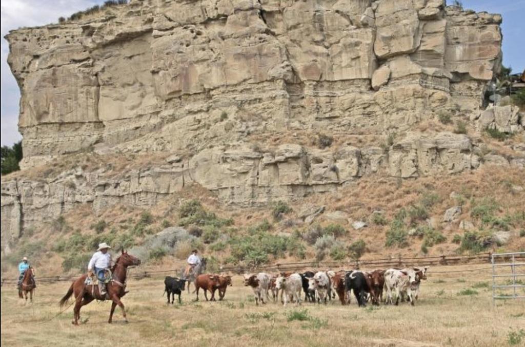 Montana Inn Near Little Big Horn Battlefield-Pompey Piller-Colstrip Forsyth 외부 사진